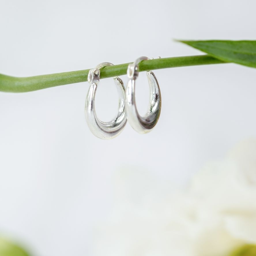 Small Horse Shoe Hoops