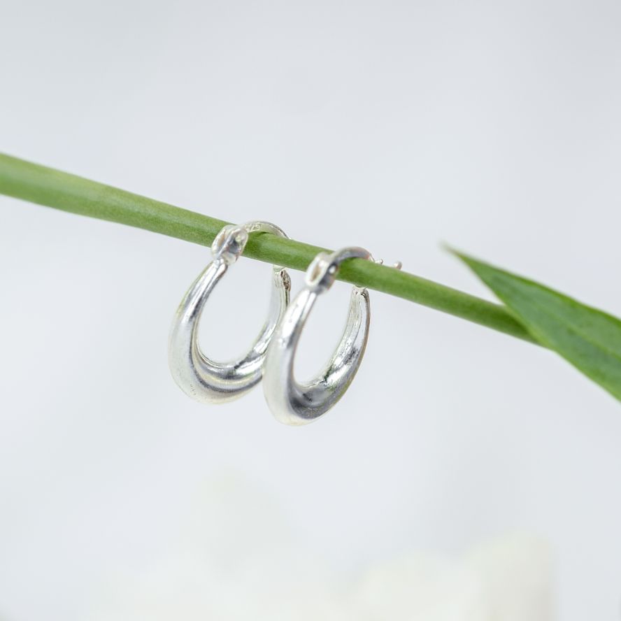 Small Horse Shoe Hoops