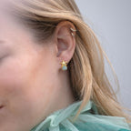 Starfish Earrings