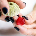 Pet Print Jewellery Kit
