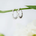 Small Horse Shoe Hoops