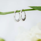 Small Horse Shoe Hoops