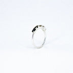 Best Of Both Ombré™ Ring