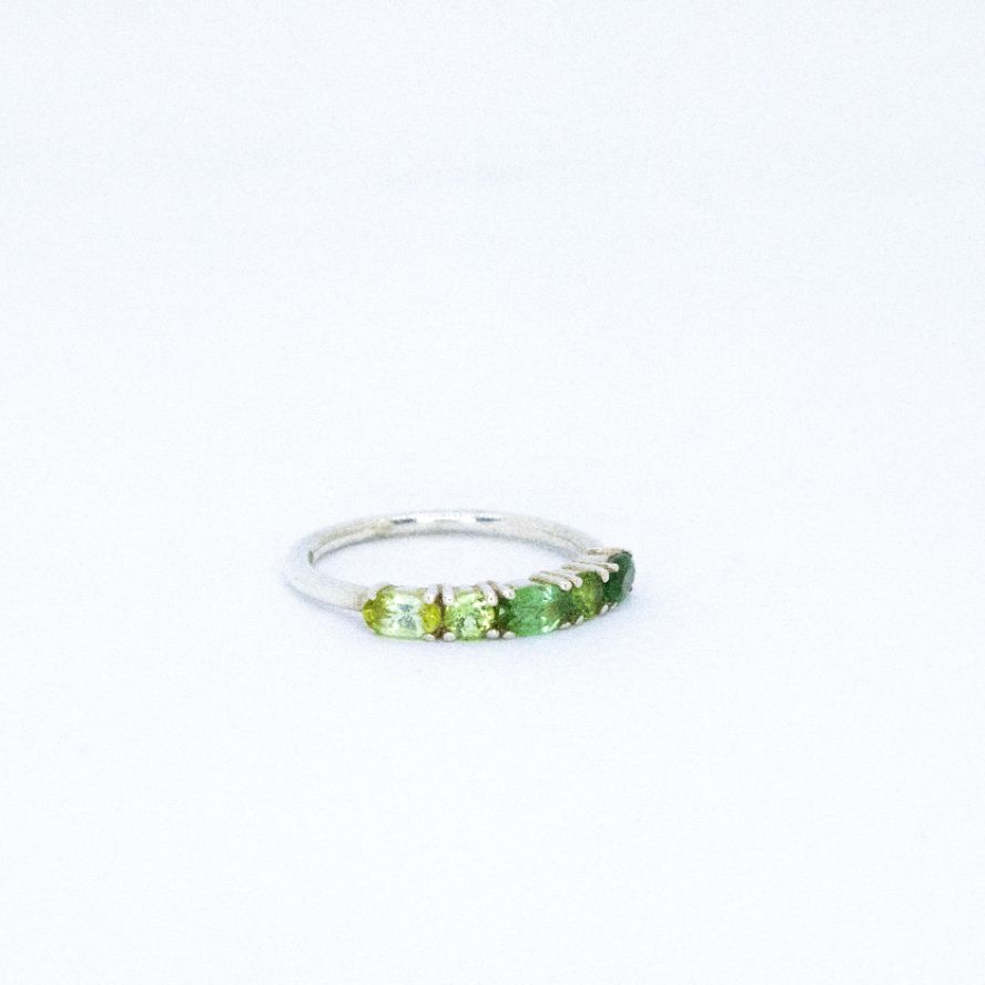 Best Of Both Ombré™ Ring