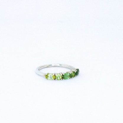 Best Of Both Ombré™ Ring