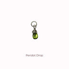 alt-tag