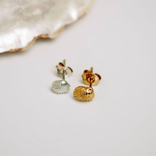 Clam Shell Stud Earring