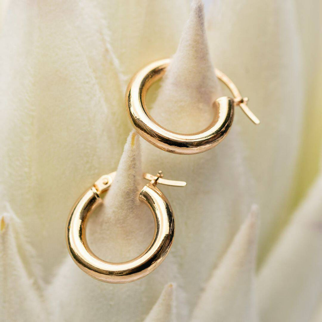 Hoop earrings