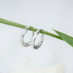 Small Horse Shoe Hoops