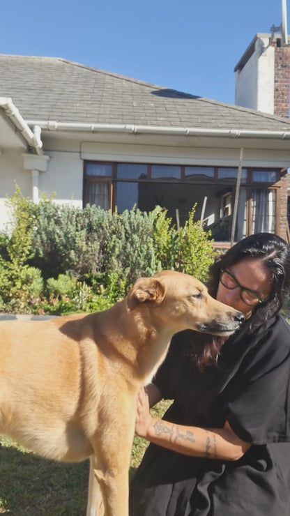 Pet Print Jewellery Kit