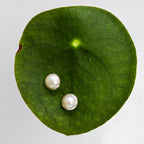 Round Pearl Stud