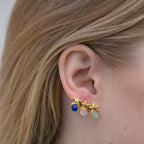 Starfish Earrings